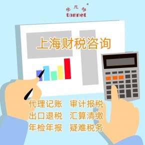 上海財務(wù)咨詢 財稅咨詢服務(wù)內(nèi)容有哪些